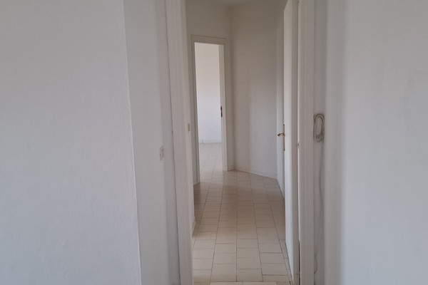 20251107_101329 - Appartamento Monteroni d'Arbia (SI)  