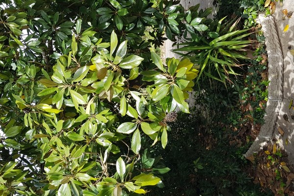 20240409_125718 - Appartamento Monteroni d'Arbia (SI) MONTERONI D'ARBIA 