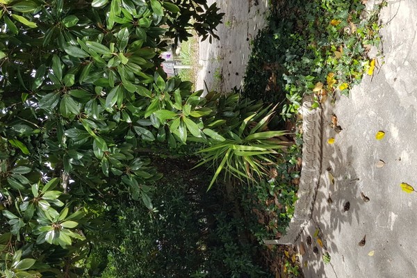 20240409_125729 - Appartamento Monteroni d'Arbia (SI) MONTERONI D'ARBIA 