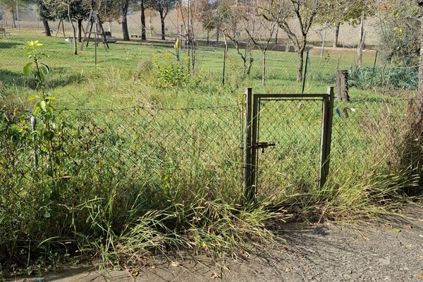 20251107_102428 - Appartamento Monteroni d'Arbia (SI)  