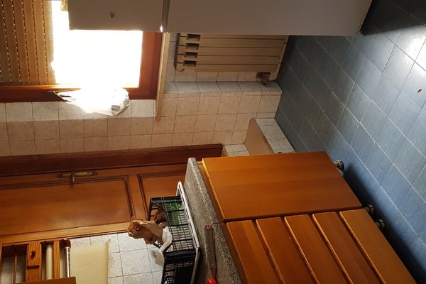 20240409_125829 - Appartamento Monteroni d'Arbia (SI) MONTERONI D'ARBIA 