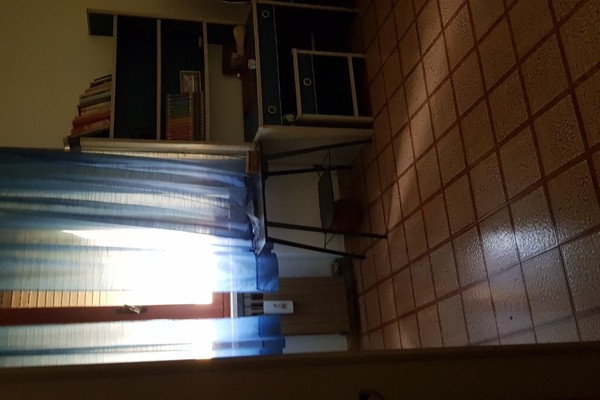 20240409_125914 - Appartamento Monteroni d'Arbia (SI) MONTERONI D'ARBIA 