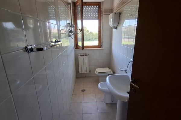 20251004_105318 - Appartamento Siena (SI) ISOLA D'ARBIA 