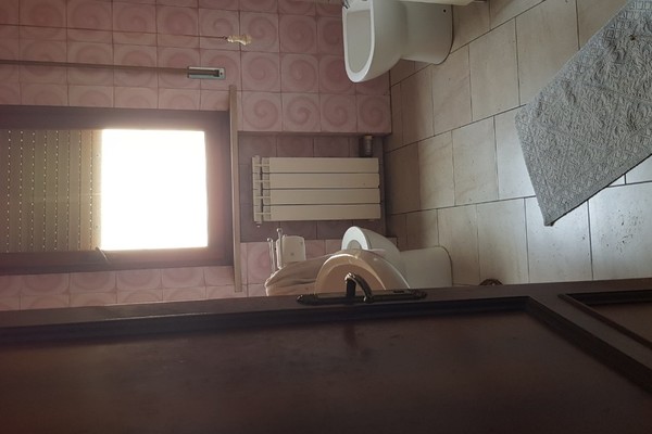 20240409_125921 - Appartamento Monteroni d'Arbia (SI) MONTERONI D'ARBIA 