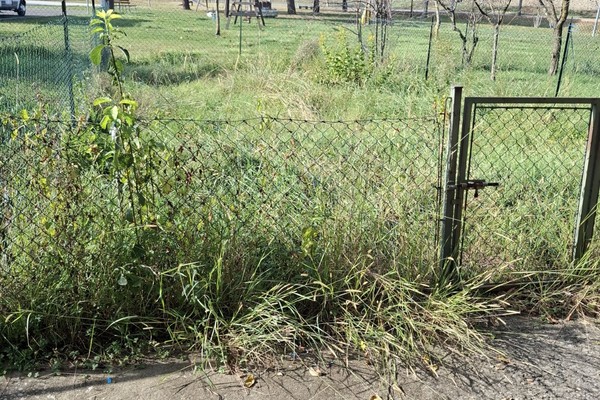 20251107_102425 - Appartamento Monteroni d'Arbia (SI)  