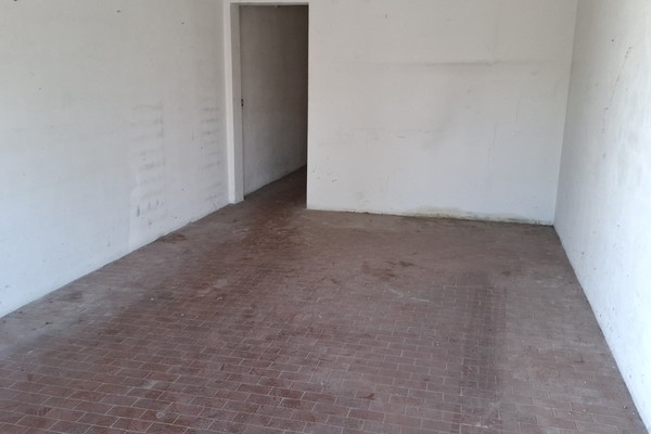 20251004_104919 - Appartamento Siena (SI) ISOLA D'ARBIA 